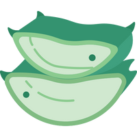 Aloe Vera Extract