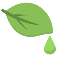 Tea Tree Oil