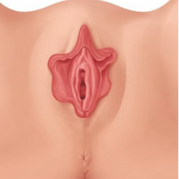 imgi_105_imgi_1_WC6VVRU7NNDG3AS26R2ADRGJHA_aaa530cd-0866-4d23-a973-8642bde5b756.png__PID:b0031443-89a9-46c6-a18f-6bfa6edecc07